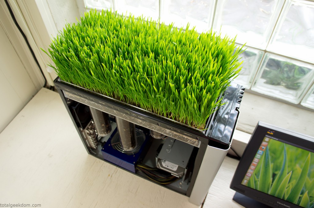 Working Computer with Grass